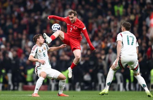 Ultimate Guide to Live Bet9ja Mobile