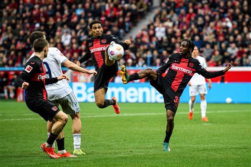 Newcastle Bet: Guide to Betting on Newcastle United